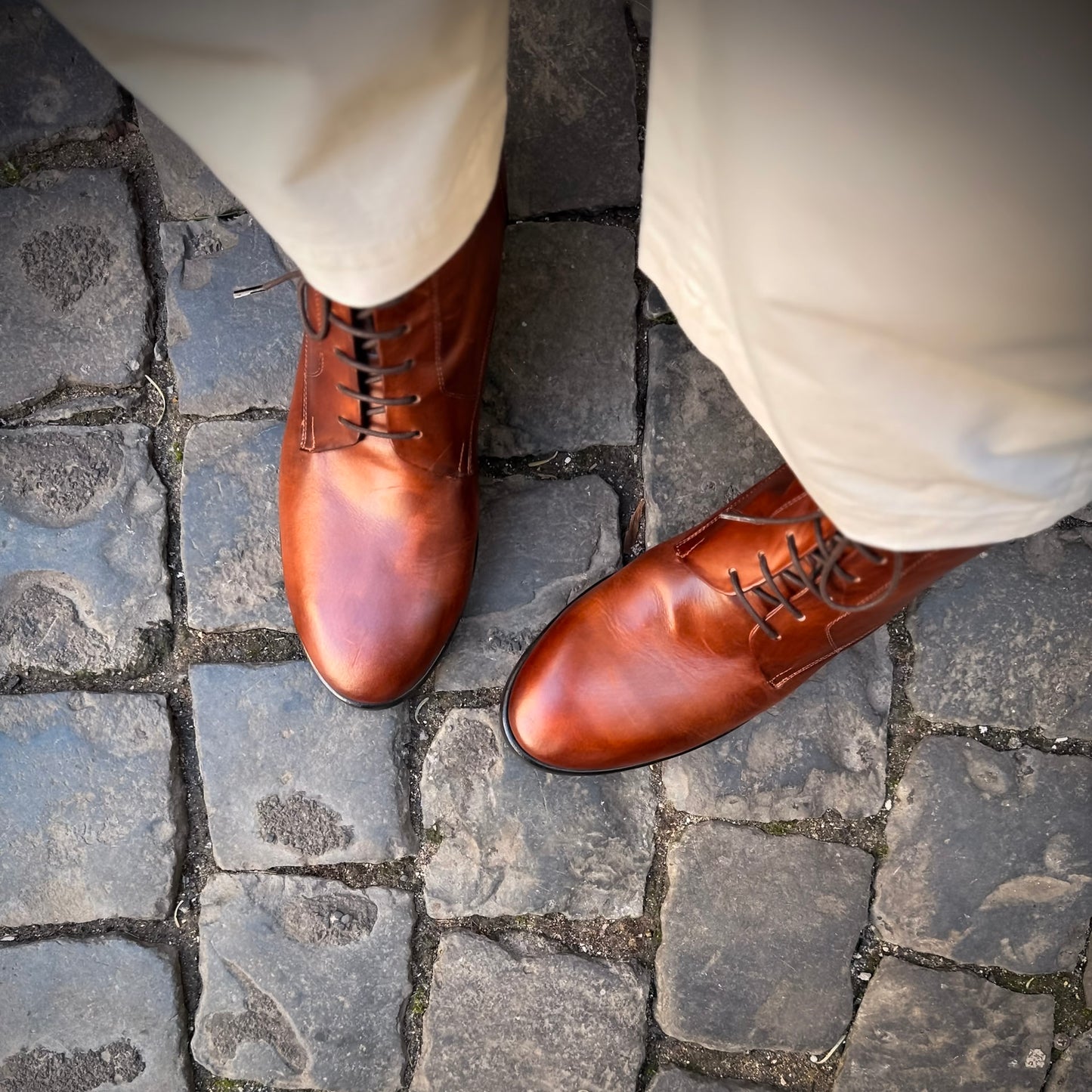 Allacciato Mia invecchiato corteccia