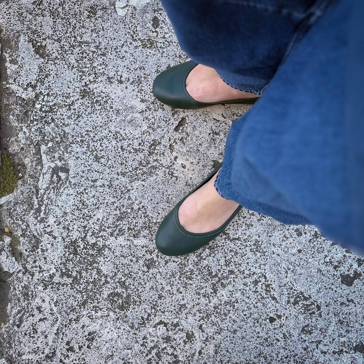 Ballerina Beppa mousse cardo marino