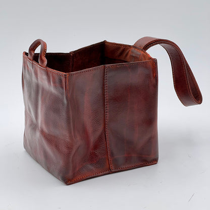 Sibilla invecchiato corteccia