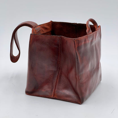 Sibilla invecchiato corteccia