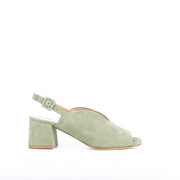 Zenko T5 long beach edera