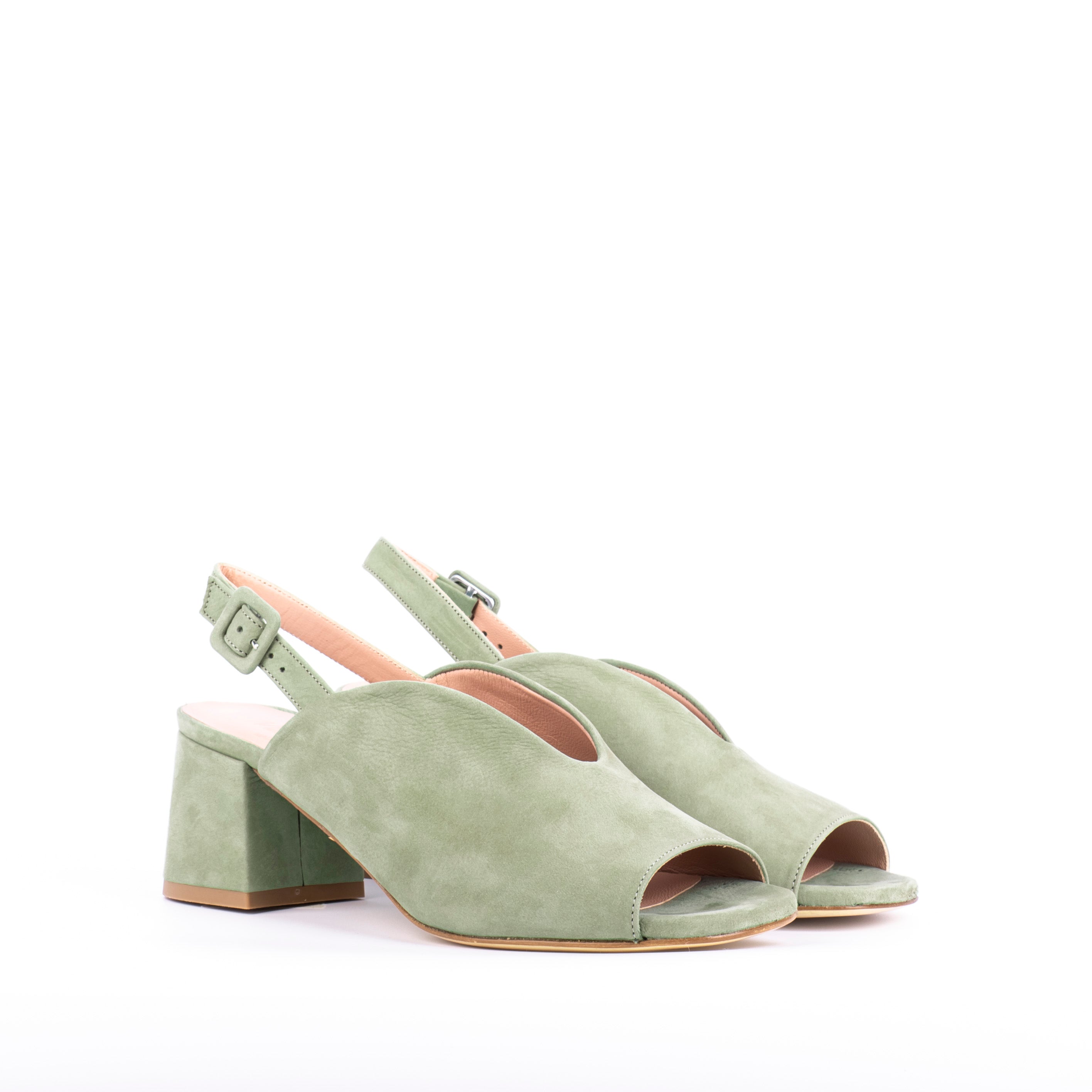 Zenko T5 long beach edera